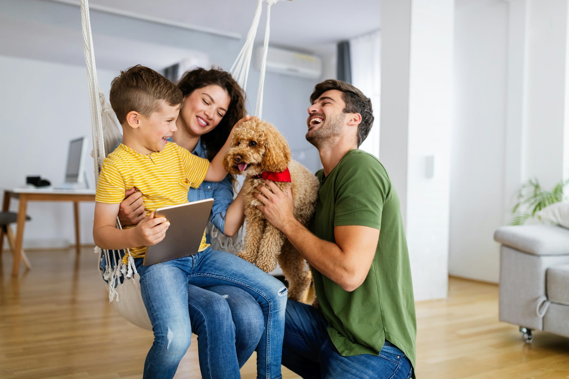 pet-friendly rentals